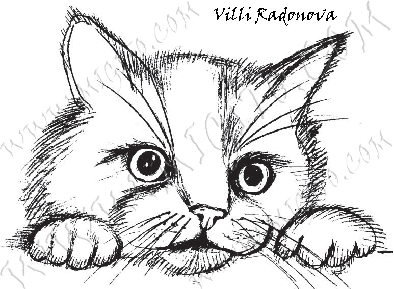 Cute kitten scrapbooking stamp