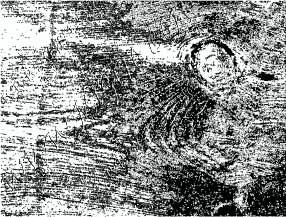 Текстура на дърво 7