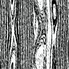 Wood texture 9