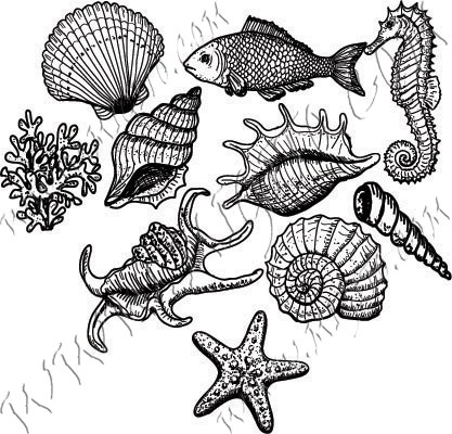 Set mussels and sea snails scrapbooking and mixed media stamps