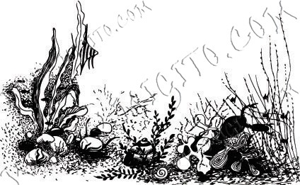 Seabed scrapbooking and mixed media stamps