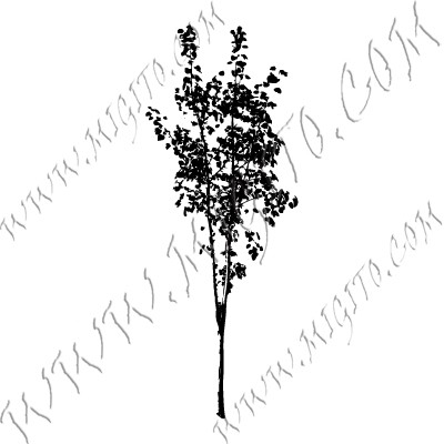 Печат на дърво 9