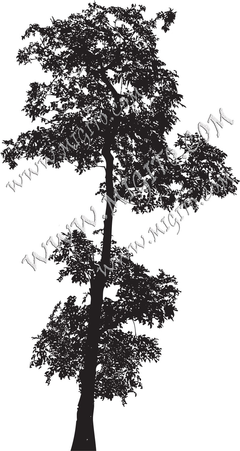 Печат на дърво 10