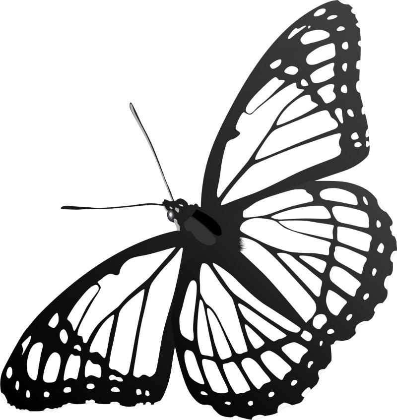 Печат на пеперудка 2 