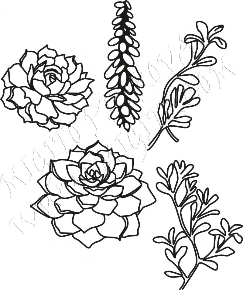 Печат на сукулентни растения