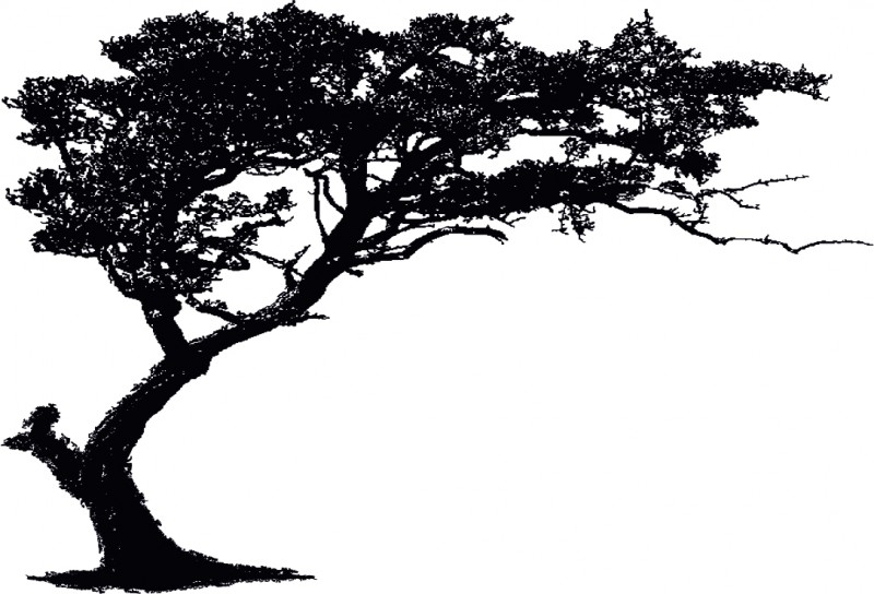 Печат на дърво 2