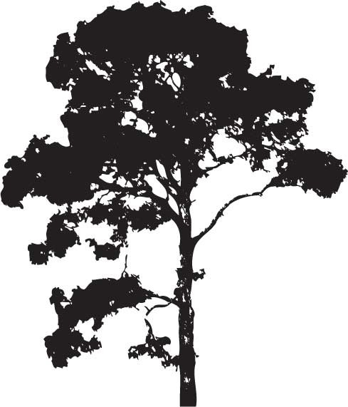 Печат на дърво 2