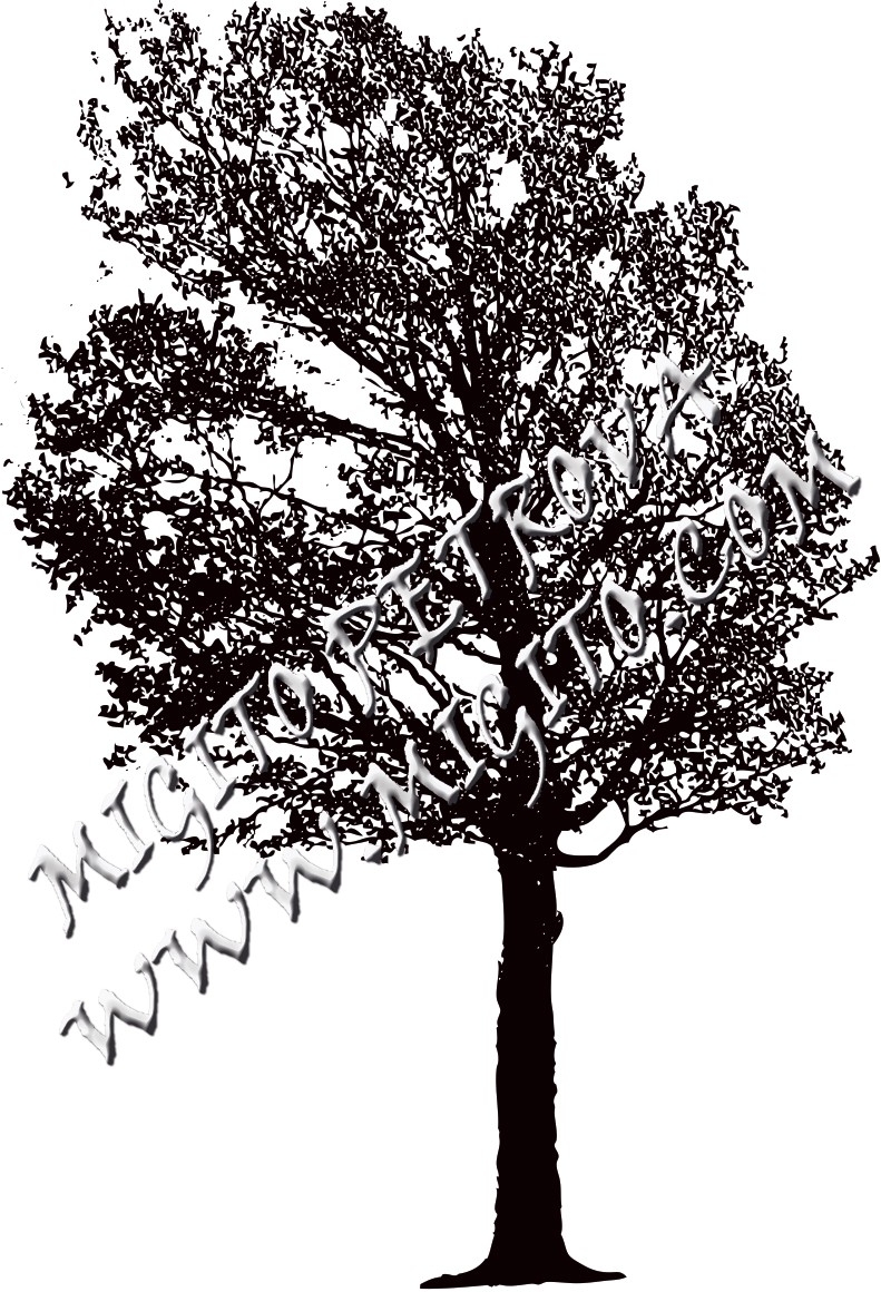 Печт на дърво 6