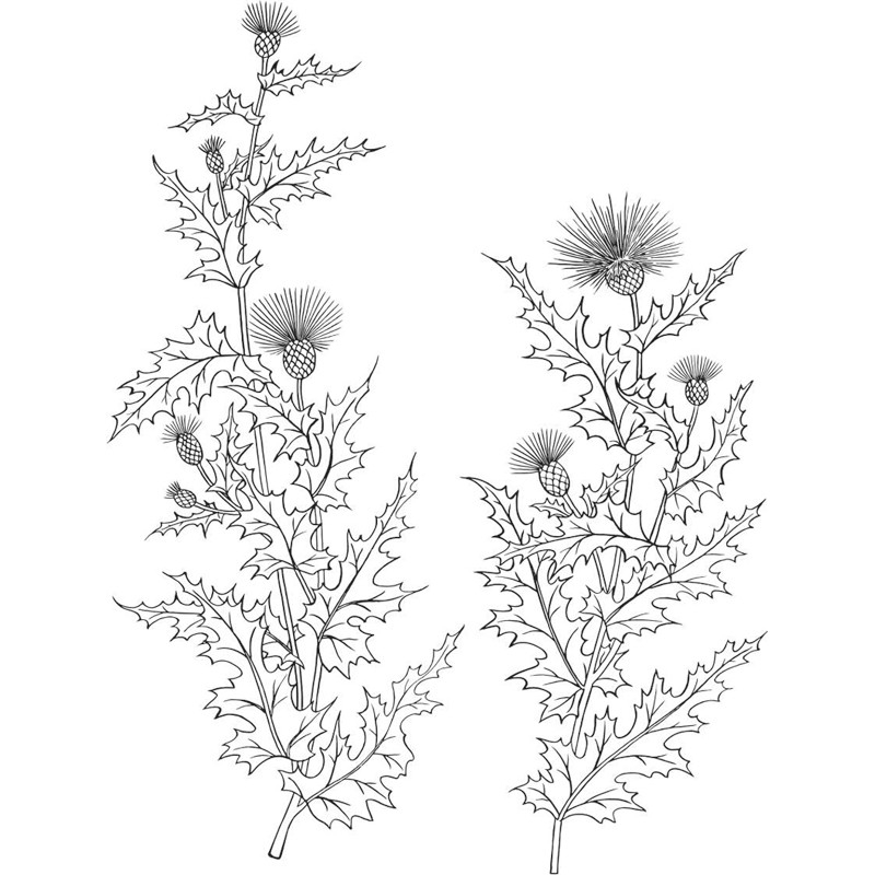 Печат на бодили 