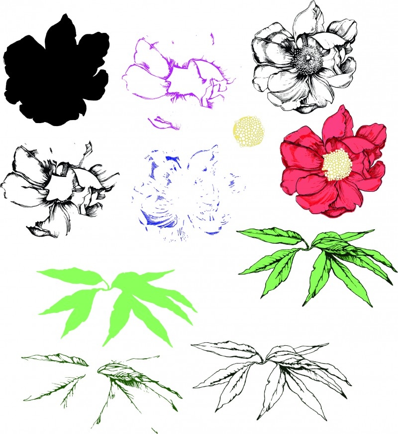 Многопластов печат на божур