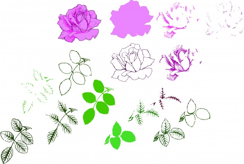 Многопластов печат на роза