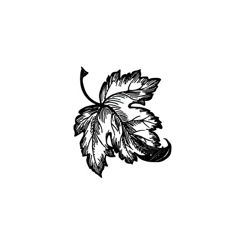 Листо на клен печат 