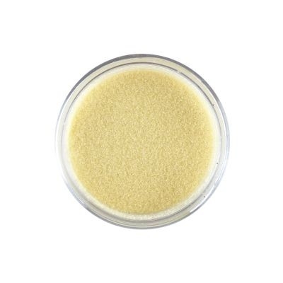 Champagne SD EMBOSS POWDER Фина ембосинг пудра Pastels  