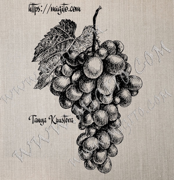 Скрапбукинг печат на грозде гума