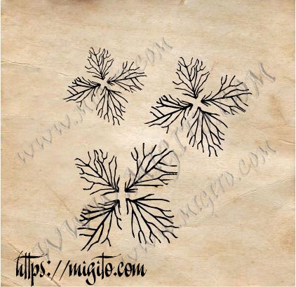 Print for making flowers veins of the flower