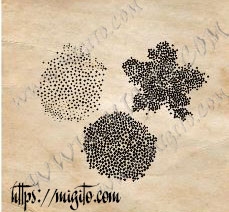 Stamps for making flowers inner part of the flower