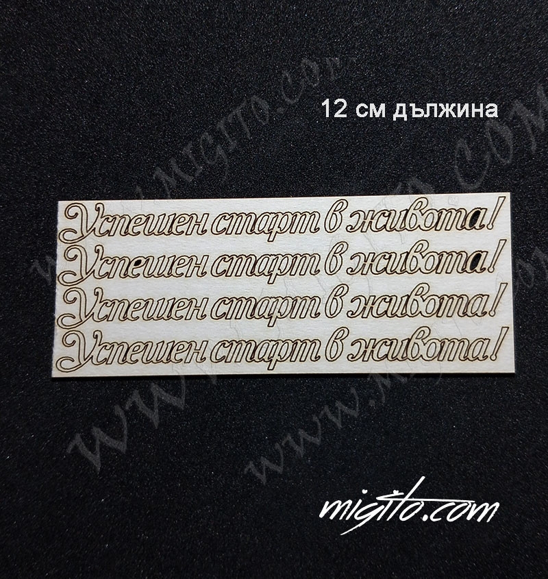 Успешен старт в живота лазерно изрязан надпис бирен картон