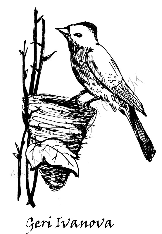 Птиче с гнездо