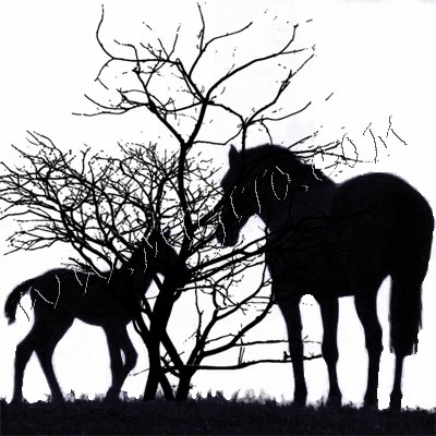 Hors and tree