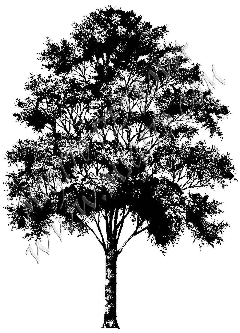 Печат на дърво 7