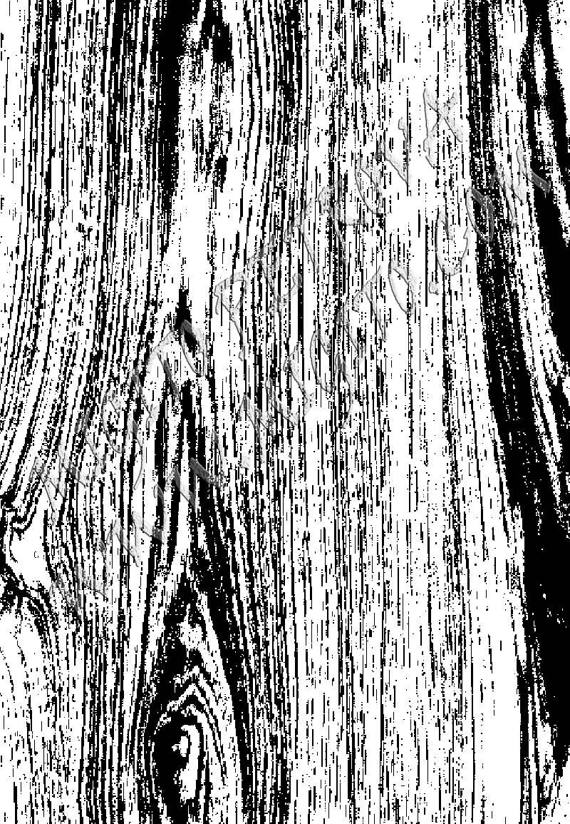Wood texture 6