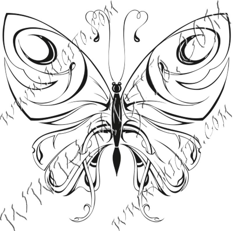 Butterfly 2