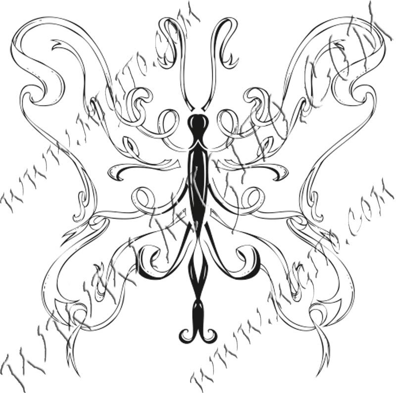 Butterfly 3