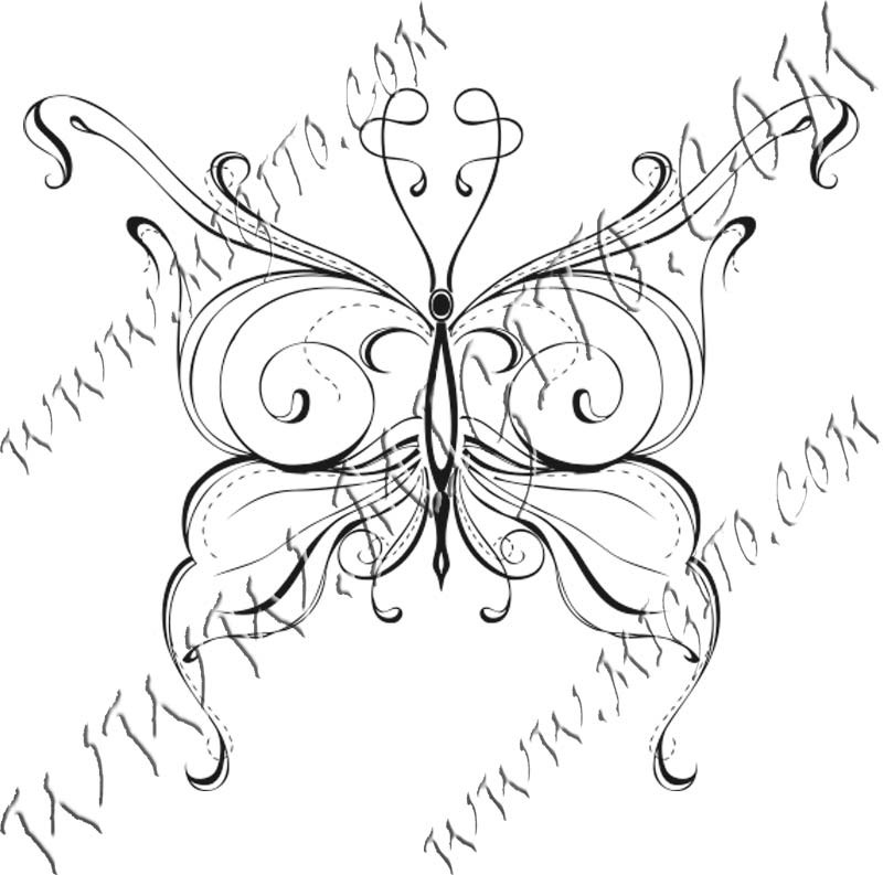 Butterfly 7