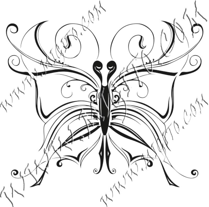 Butterfly 10