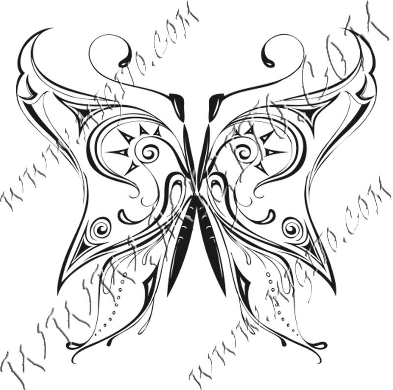 Butterfly 12