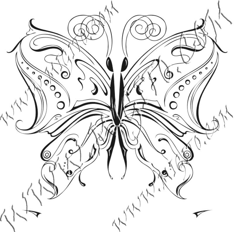 Butterfly 16