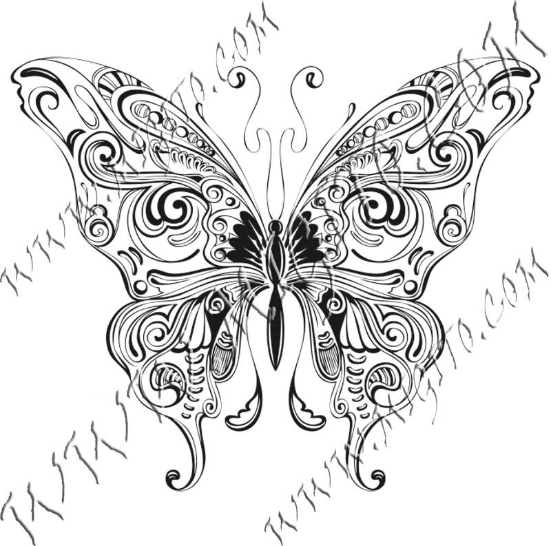 Butterfly 20