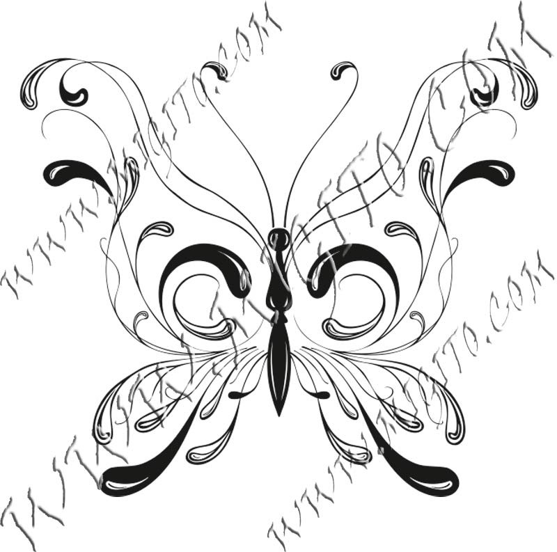 Butterfly 22