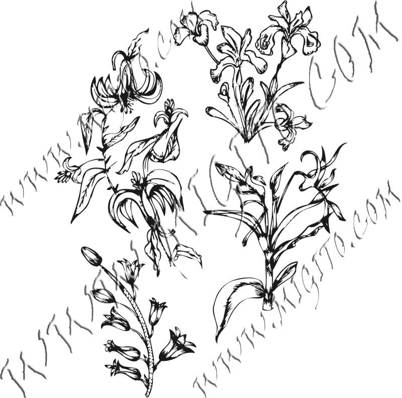 Полски цветя 