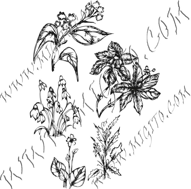 Пролетни цветя