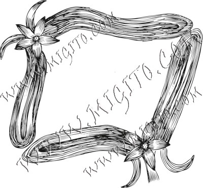 Текстови бордър 44